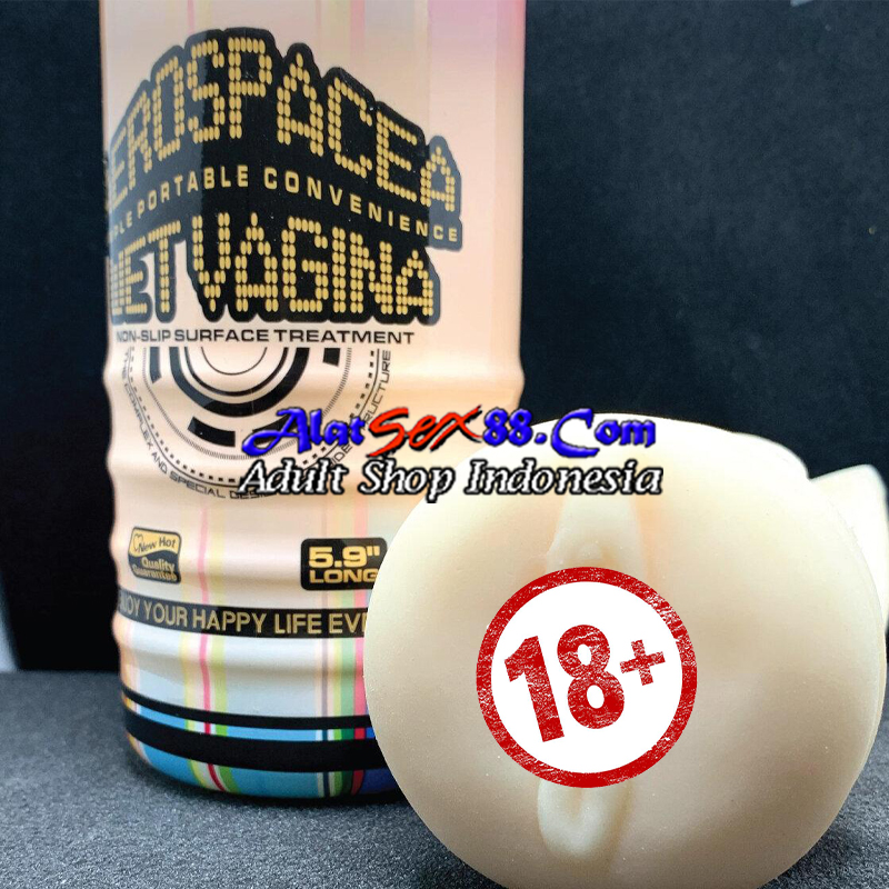 Alat Sex Aerospacea Wet Vagina 