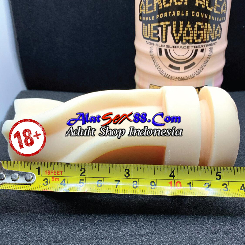 Alat Sex Aerospacea Wet Vagina 