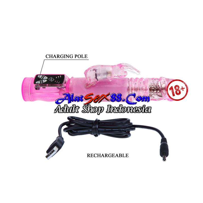 Alat Sex Crazy Rabbit Vibrator 