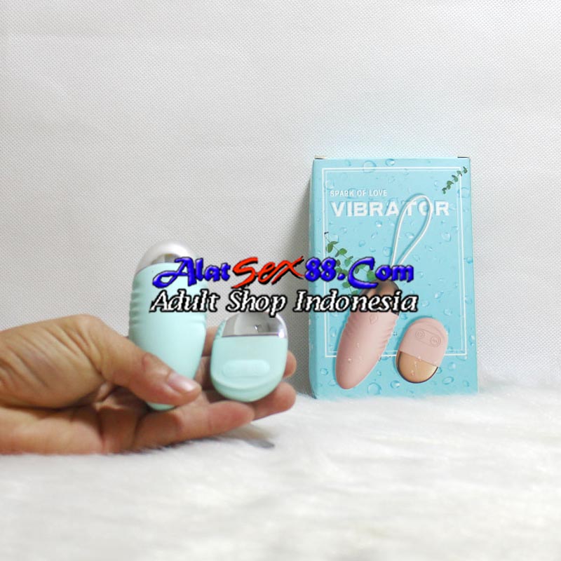 Alat Sex Wanita Laile Vibrating Egg Wireless
