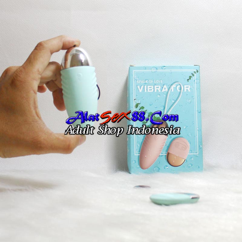Alat Sex Wanita Laile Vibrating Egg Wireless