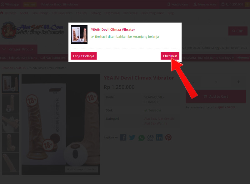 Cara-Belanja-di-Alat-Sex-88-Com